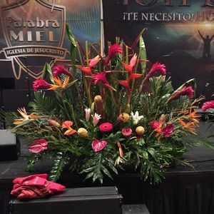 Meet your Posher, Ofelia